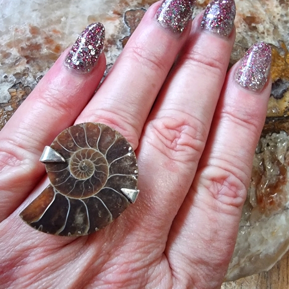 Ammonite Fossil Sterling Silver Ring - Picture 7 of 7